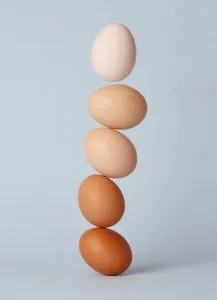 Verschiedene Eier.